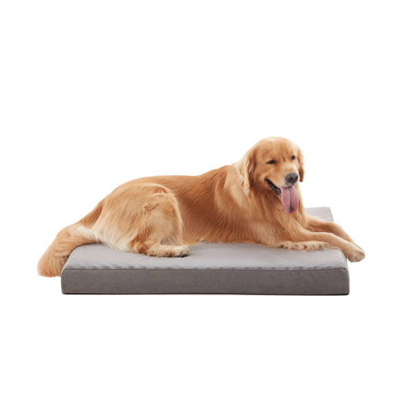 Tucker Murphy Pet™ Orthopedic Memory Foam Dog Bed, Cooling Dog Beds